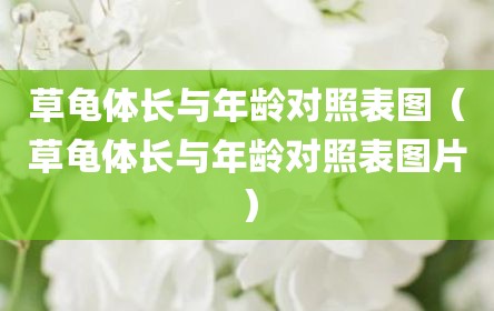 草龟体长与年龄对照表图（草龟体长与年龄对照表图片）