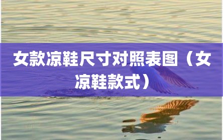 女款凉鞋尺寸对照表图（女凉鞋款式）
