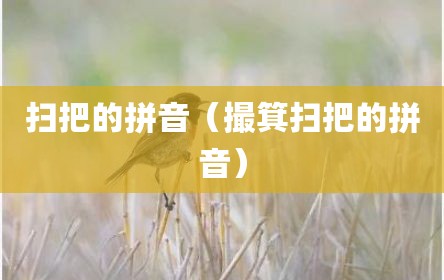 扫把的拼音（撮箕扫把的拼音）