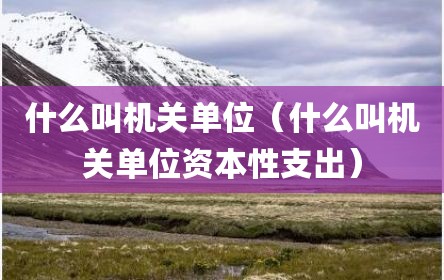 什么叫机关单位（什么叫机关单位资本性支出）