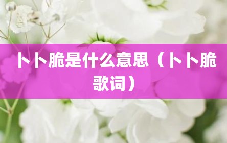 卜卜脆是什么意思（卜卜脆歌词）