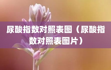 尿酸指数对照表图（尿酸指数对照表图片）