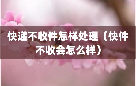 快递不收件怎样处理（快件不收会怎么样）