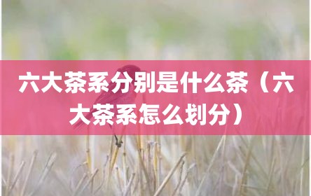 六大茶系分别是什么茶（六大茶系怎么划分）
