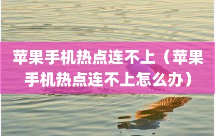 苹果手机热点连不上（苹果手机热点连不上怎么办）