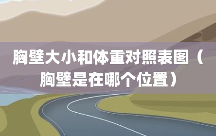 胸壁大小和体重对照表图（胸壁是在哪个位置）