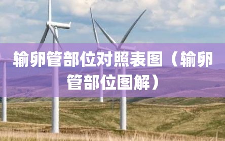 输卵管部位对照表图（输卵管部位图解）