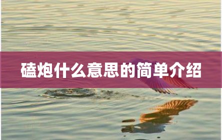磕炮什么意思的简单介绍