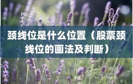颈线位是什么位置（股票颈线位的画法及判断）