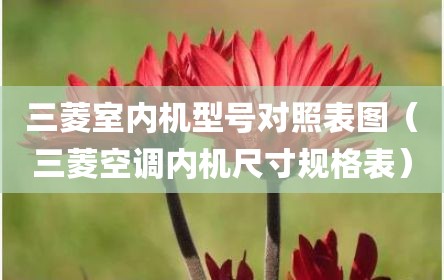 三菱室内机型号对照表图（三菱空调内机尺寸规格表）