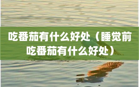吃番茄有什么好处（睡觉前吃番茄有什么好处）