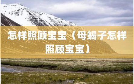 怎样照顾宝宝（母蝎子怎样照顾宝宝）