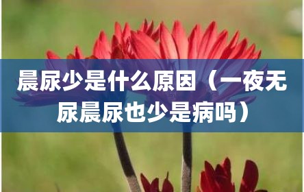 晨尿少是什么原因（一夜无尿晨尿也少是病吗）