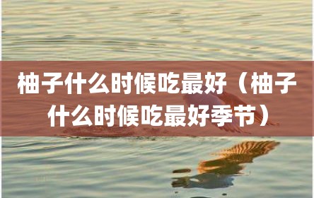 柚子什么时候吃最好（柚子什么时候吃最好季节）