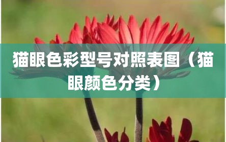 猫眼色彩型号对照表图（猫眼颜色分类）
