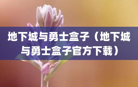 地下城与勇士盒子（地下城与勇士盒子官方下载）