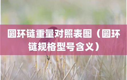 圆环链重量对照表图（圆环链规格型号含义）
