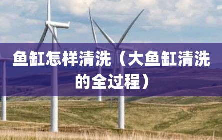 鱼缸怎样清洗（大鱼缸清洗的全过程）