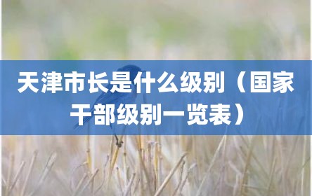 天津市长是什么级别（国家干部级别一览表）