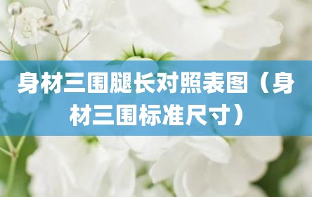 身材三围腿长对照表图（身材三围标准尺寸）