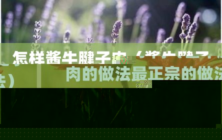 怎样酱牛腱子肉（酱牛腱子肉的做法最正宗的做法）
