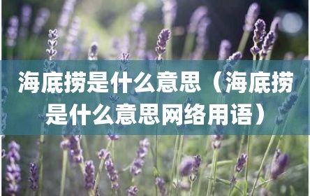 海底捞是什么意思（海底捞是什么意思网络用语）
