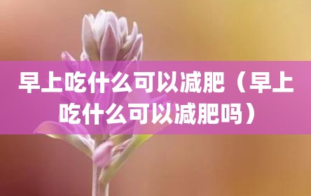 早上吃什么可以减肥（早上吃什么可以减肥吗）