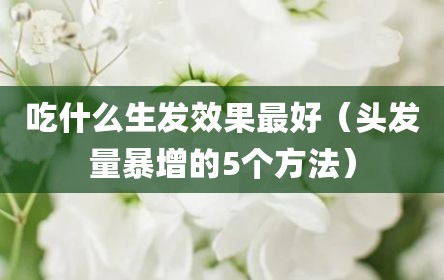 吃什么生发效果最好（头发量暴增的5个方法）