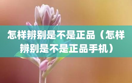 怎样辨别是不是正品（怎样辨别是不是正品手机）