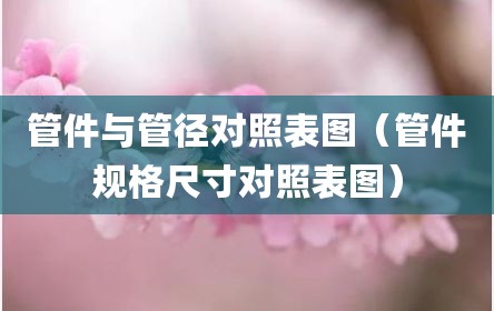 管件与管径对照表图（管件规格尺寸对照表图）
