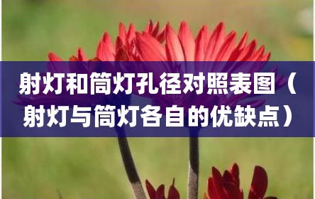 射灯和筒灯孔径对照表图（射灯与筒灯各自的优缺点）
