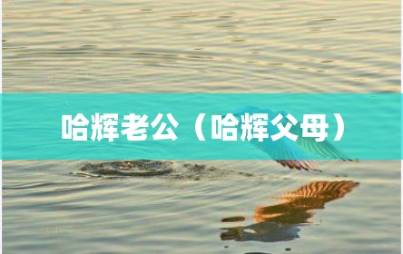 哈辉老公（哈辉父母）