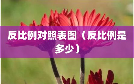 反比例对照表图（反比例是多少）