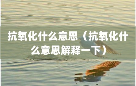 抗氧化什么意思（抗氧化什么意思解释一下）