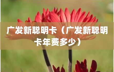 广发新聪明卡（广发新聪明卡年费多少）