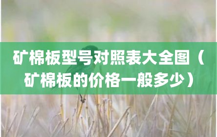 矿棉板型号对照表大全图（矿棉板的价格一般多少）