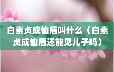 白素贞成仙后叫什么（白素贞成仙后还能见儿子吗）