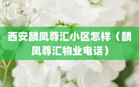 西安麟凤尊汇小区怎样（麟凤尊汇物业电话）
