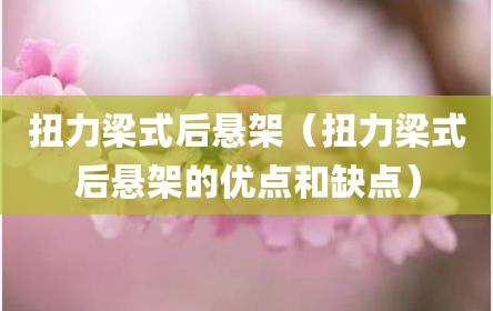 扭力梁式后悬架（扭力梁式后悬架的优点和缺点）
