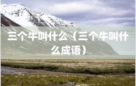 三个牛叫什么（三个牛叫什么成语）