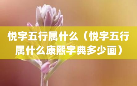 悦字五行属什么（悦字五行属什么康熙字典多少画）