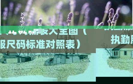 执勤服尺寸对照表大全图（执勤服尺码标准对照表）