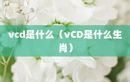 vcd是什么（vCD是什么生肖）