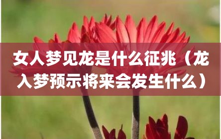 女人梦见龙是什么征兆（龙入梦预示将来会发生什么）