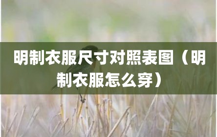 明制衣服尺寸对照表图（明制衣服怎么穿）