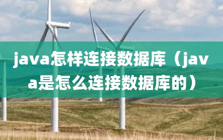 java怎样连接数据库（java是怎么连接数据库的）