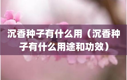 沉香种子有什么用（沉香种子有什么用途和功效）