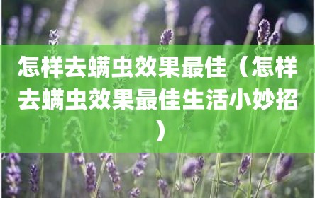 怎样去螨虫效果最佳（怎样去螨虫效果最佳生活小妙招）