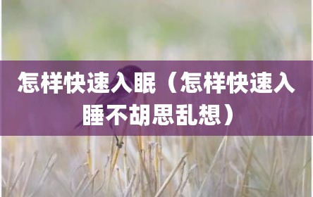 怎样快速入眠（怎样快速入睡不胡思乱想）
