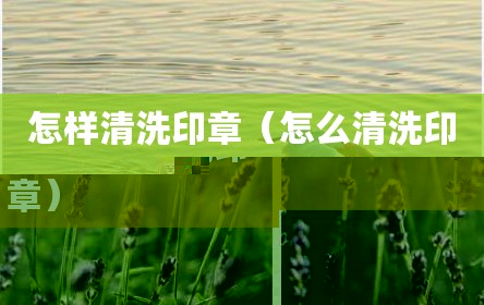 怎样清洗印章（怎么清洗印章）